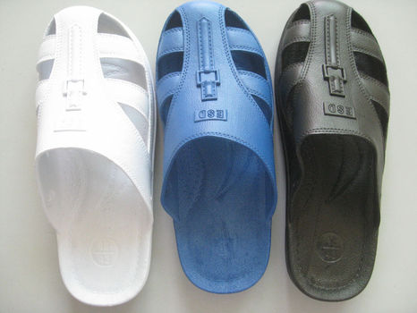Esd shoe sas-0103